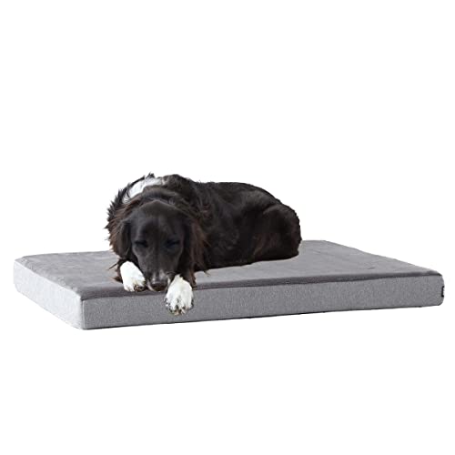Best Dog Beds for Heavy Chewers (2026 Guide)