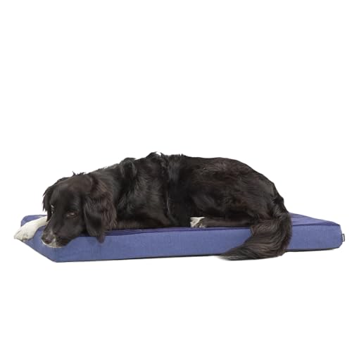 Barkbox Orthopedic Dog Bed (Navy, Large)