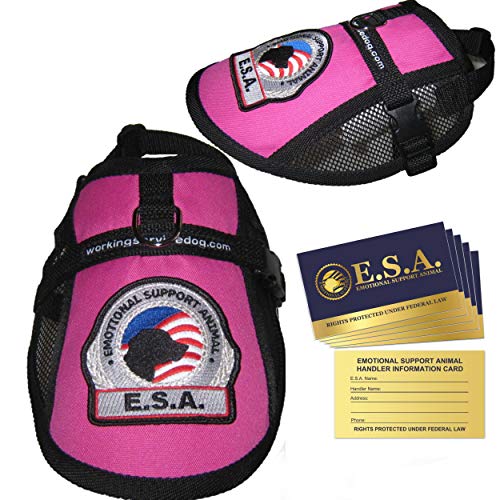 Premium Emotional Support Dog Vest (14" - 17" Girth, Raspberry)