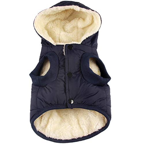 Fleece Lining Extra Warm Hoodie (Blue)