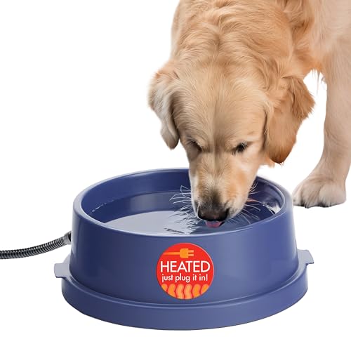 Best Outdoor Water Bowls & Fountains for Spring Yards (2026)