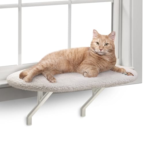 Best Washable Cat Beds & Condo Liners (2026)