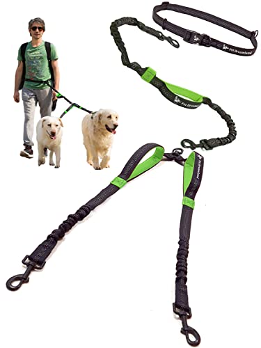 Exquisite Hands Free Leash — 2 Dogs