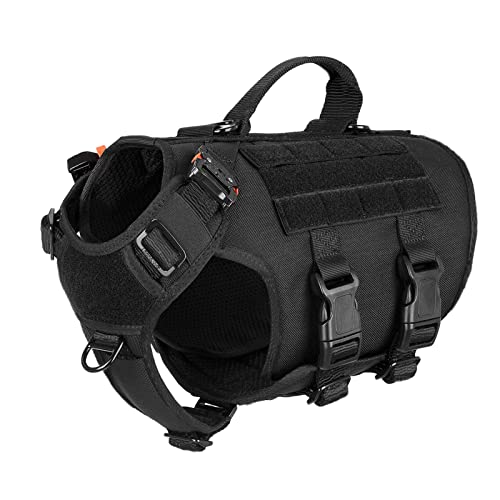 Step-In vs Vest vs No-Pull Harness: Best Choices for Fall Hikes (2026)