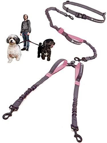 Pet Dreamland Hands-Free Leash for Two
