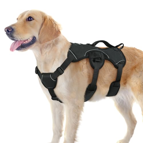 rabbitgoo Escape Proof Harness