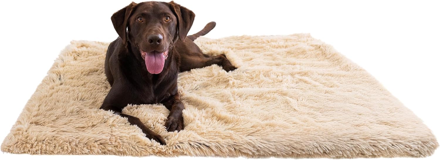 Best Friends by Sheri Calming Blanket