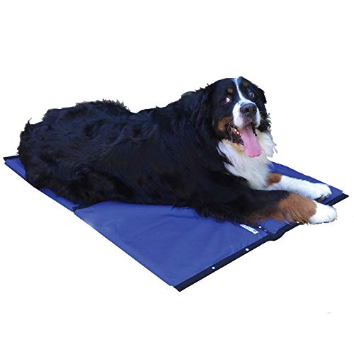 CoolerDog Hydro Cooling Mat (4-Pack)
