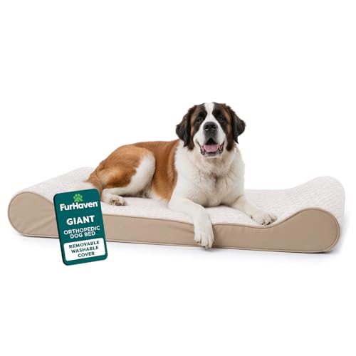 Furhaven Orthopedic Dog Bed for Extra Large Dogs w/ Removable Washable Cover, For Dogs Up to 180 lbs - Ultra Plush Faux Fur & Suede Luxe Lounger Contour Mattress - Cream, Giant/XXXL