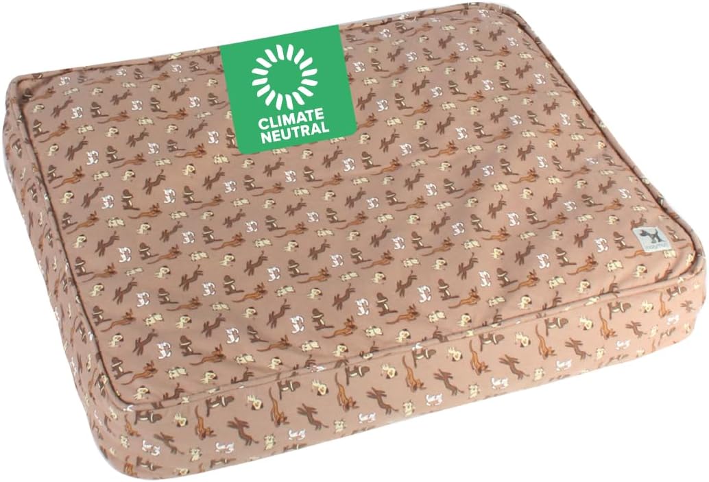 Daysleeper Cover