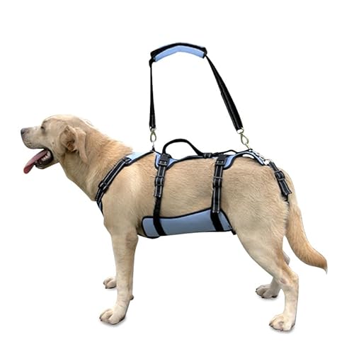 Coodeo Dog Lift Harness, Support & Recovery Sling, Pet Rehabilitation Lifts Vest Adjustable Breathable Straps for Old, Disabled, Joint Injuries, Arthritis, Paralysis Dogs Walk (Blue,M)