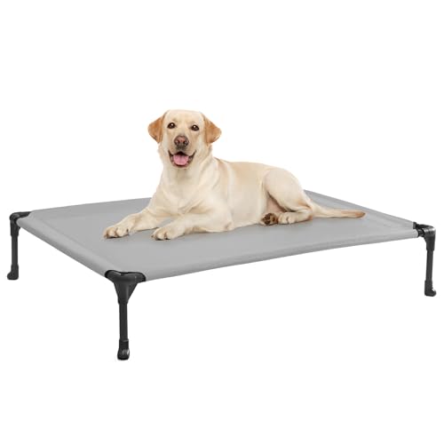 Best Elevated Cooling Dog Beds for Spring & Summer (2026)