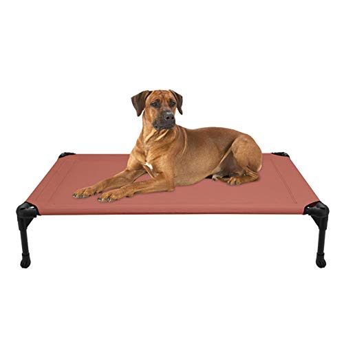 Best Elevated Dog Beds for Camping & Travel (2026 Guide)