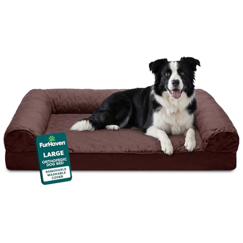 How to Choose a Dog Bed for Joint Pain (2026 Solution Guide)