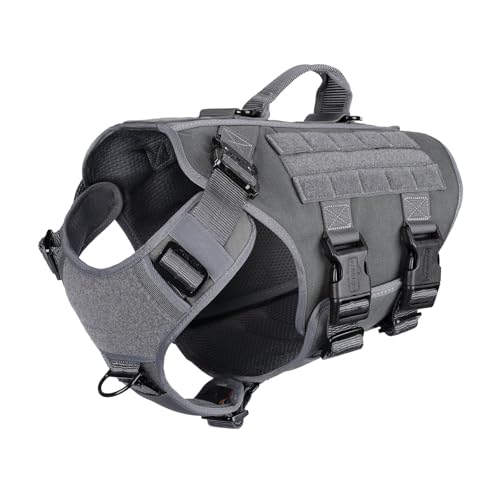 Step-In vs Vest vs Dual-Clip Harnesses for Service & Senior Dogs (2026)