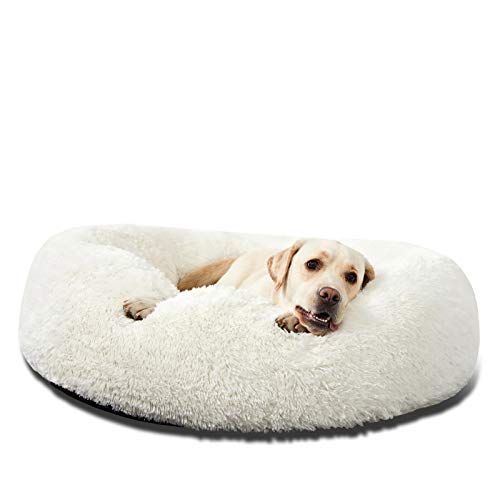 Complete New Puppy Sleep Setup (2026): What to Buy for the First 8 Weeks