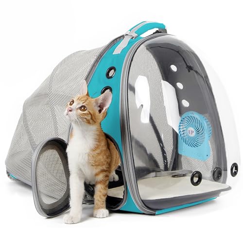 Complete Cozy Backseat Kit for Fall Road Trips with Dogs (2026 Guide)
