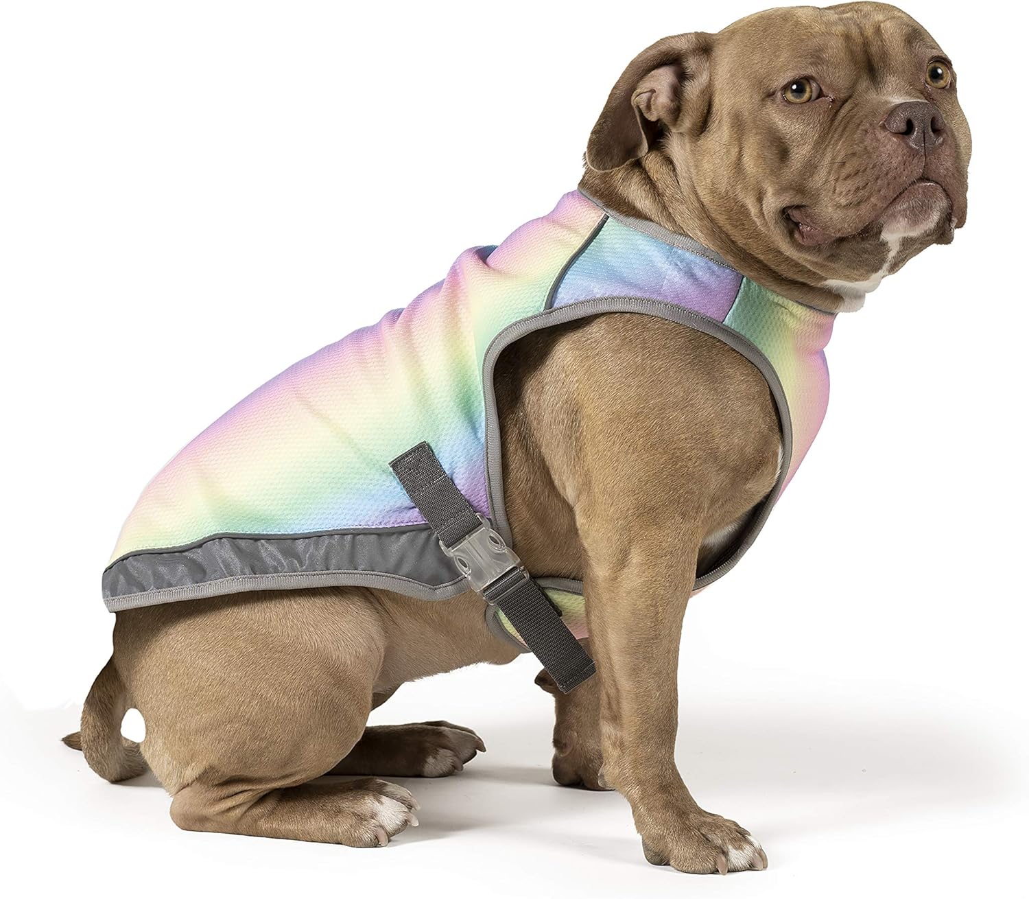 Best Cooling Vests for Dogs Who Overheat on Hikes (2026)