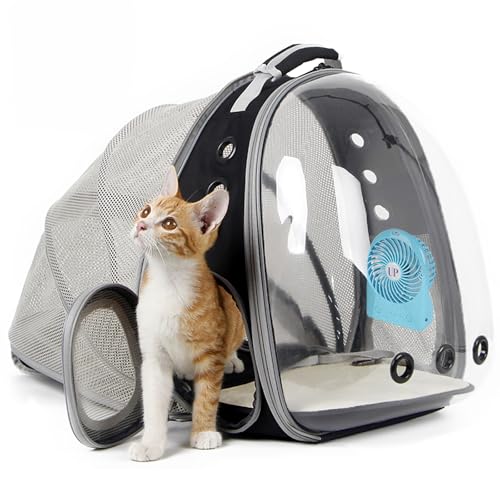 Best Pet Carriers & Backpacks for Summer Travel (2026)