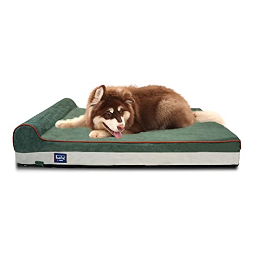 Laifug Orthopedic Memory Foam Dog Bed with Durable Water Proof Liner and Removable Washable Cover (Large (46"x28"x8"), Dark Green)