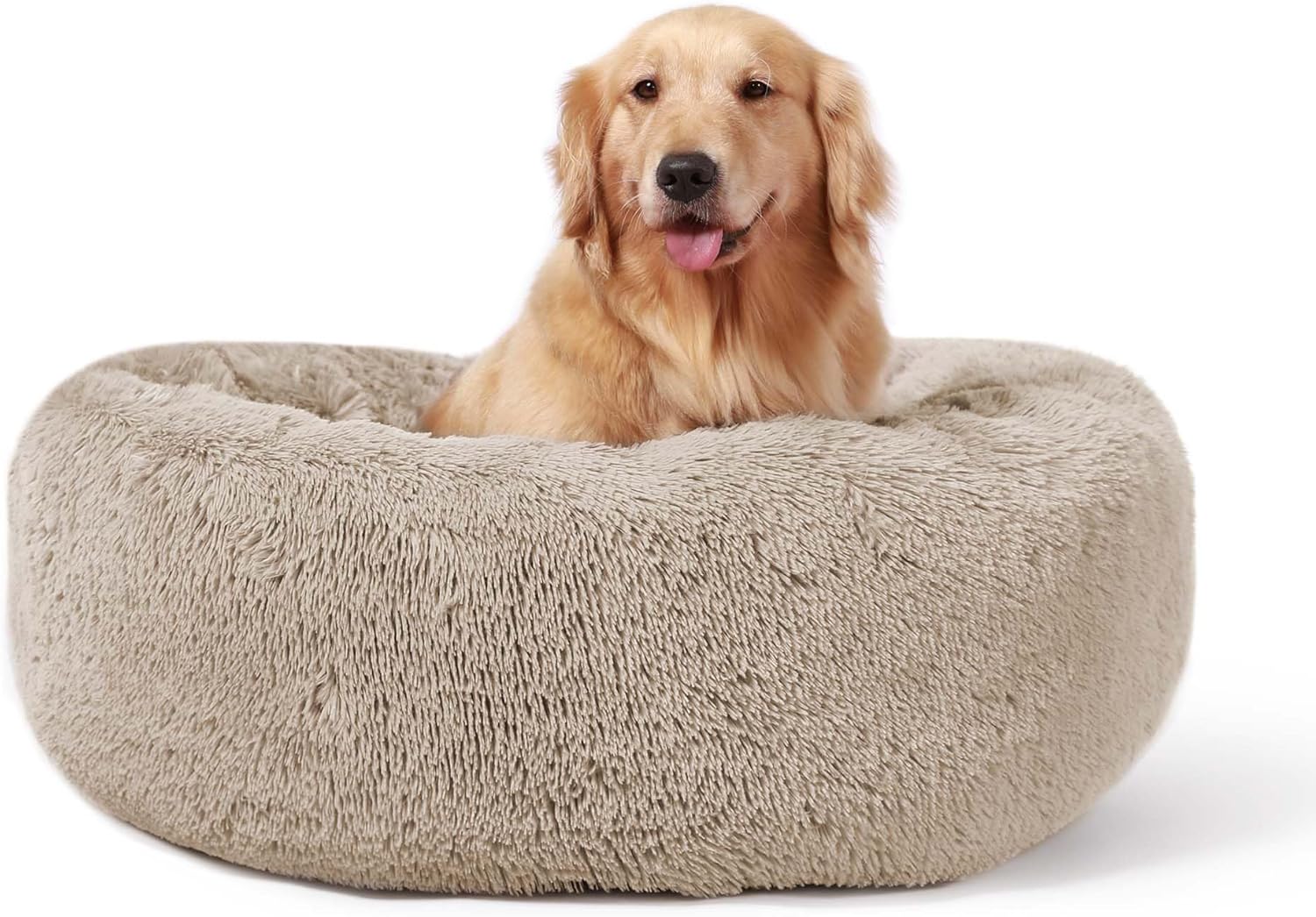 How to Pick a Dog Bed for Heavy Chewers (2026)
