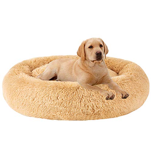 MFOX Calming Donut Bed (27x27)