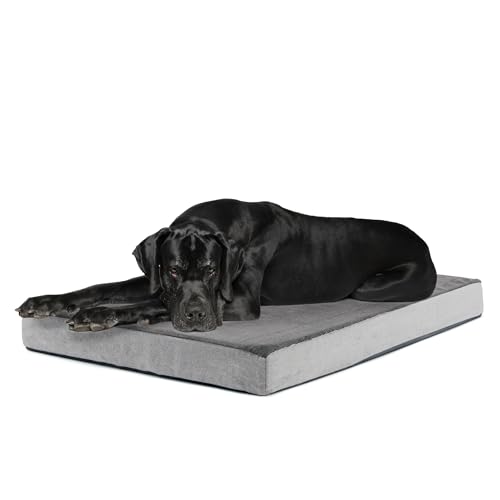 Barkbox Orthopedic Dog Bed (XXL)