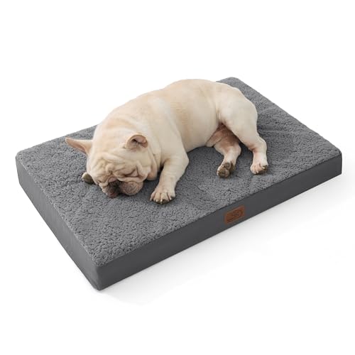Best Machine-Washable Dog Bed Mats for Spring Mud & Allergies (2026)
