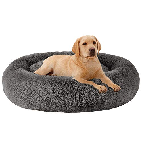 MFOX Calming Dog Bed (M)