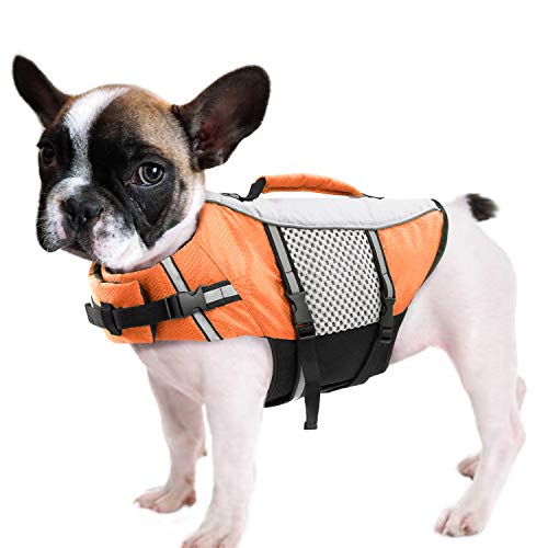Best Packable Dog Jackets Under $40 (2026)