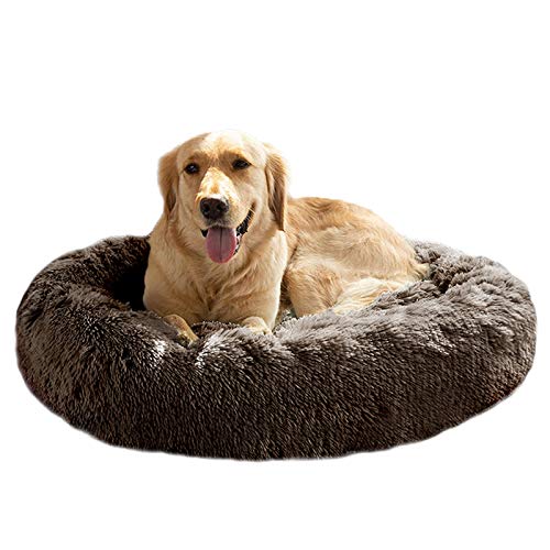 MFOX Calming Dog Bed (33x33)