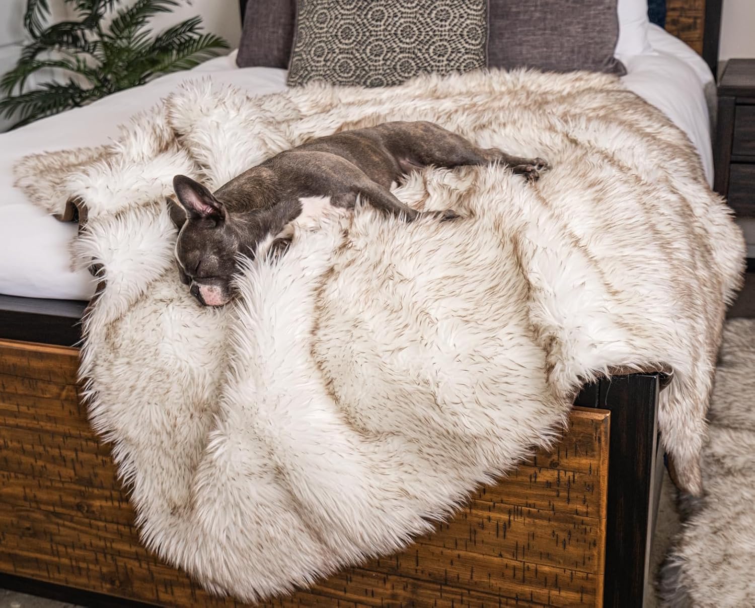 Best Travel Dog Beds That Double as Back Seat Protectors (2026 Guide)
