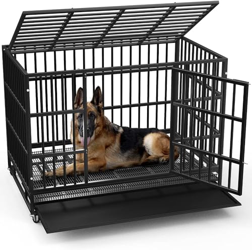 How to Make Your Outdoor Kennel More Durable & Escape-Proof (2026)