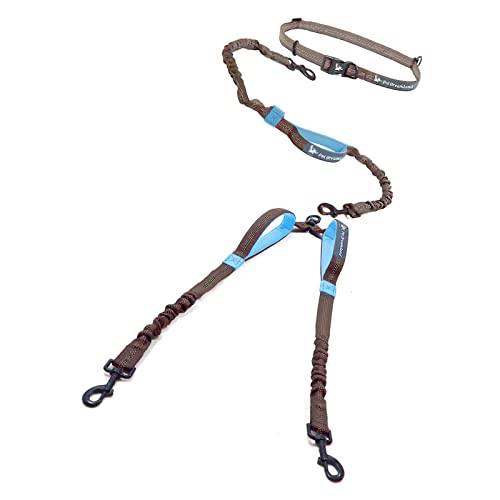 Pet Dreamland Exquisite Hands Free Dual Dog Leash with Tangle-Free Swivel for Large Dogs. Waist Leash for Running with Two Dogs. You Will Absolutely Love This Amazing Dog Walking Belt (Grey and Blue)