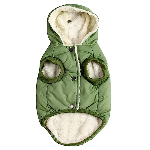 Extra Warm Dog Hoodie (Green)