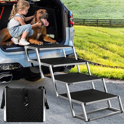 Best Compact Dog Ramps for Cars & SUVs for Fall Road Trips (2026 Guide)