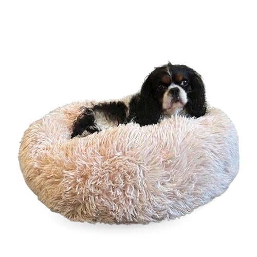 Active Pets Small Beige Dog Bed