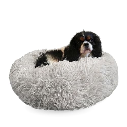 Active Pets Small Lt Grey Dog Bed for up to 25lbs, Calming Orthopedic Pet Bedding for Anxiety Relief, Joint Support & Comfort, Washable Dog Furniture