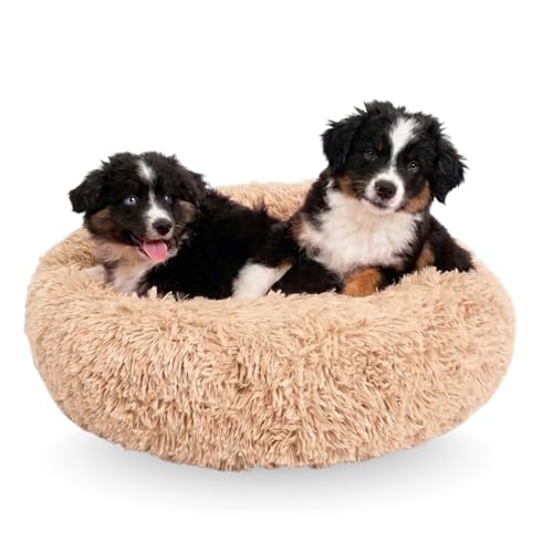 Active Pets Medium Dog Bed, Calming Orthopedic Pet Bedding for Anxiety Relief, Joint Support & Comfort, Washable Dog Furniture, Med 45lbs, Beige