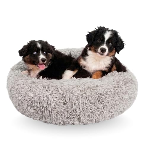 Active Pets Medium Dog Bed (Light Grey)