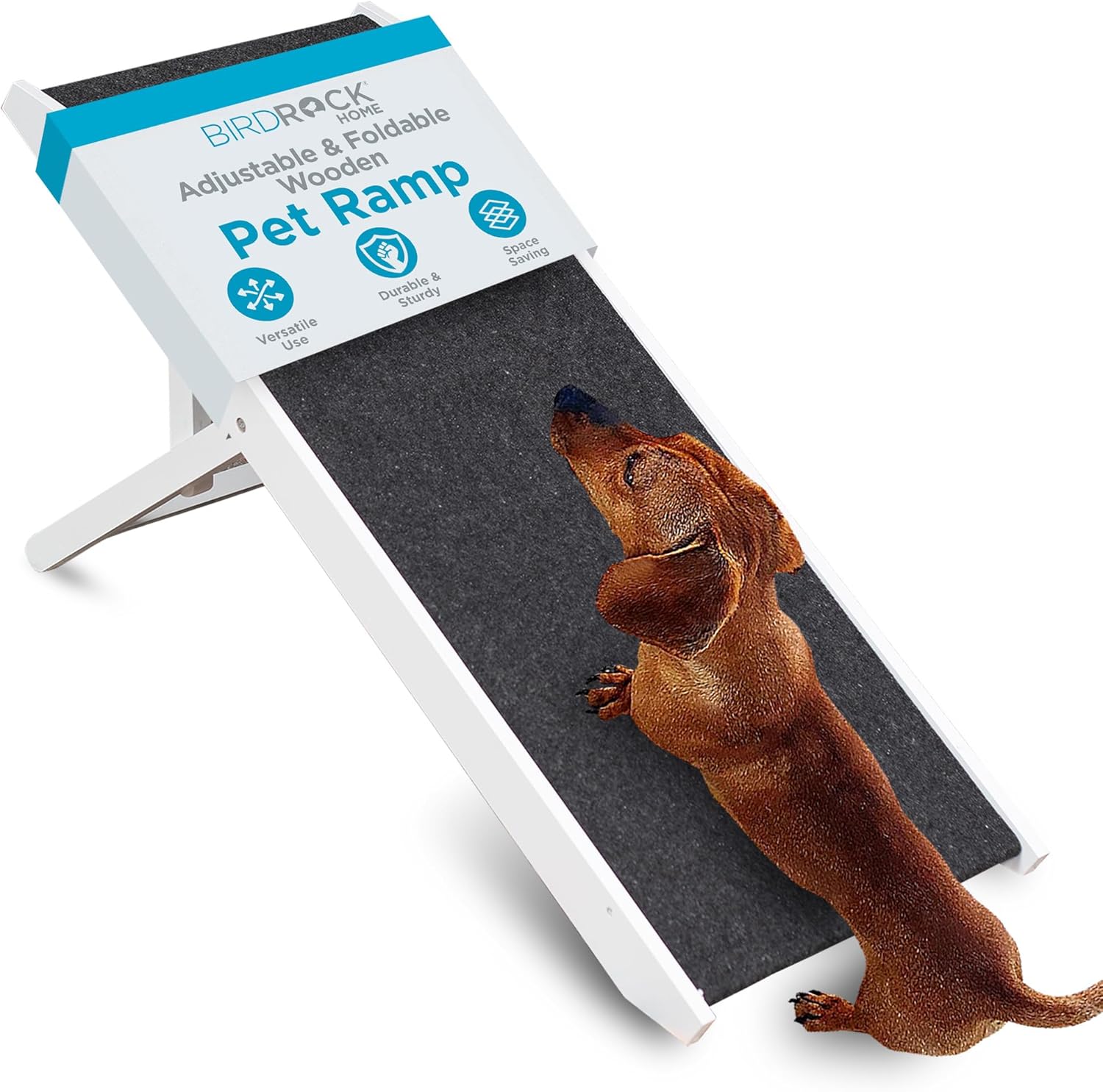 Best Dog Ramps & Steps to Help Senior Dogs into Cars and Beds (2026)