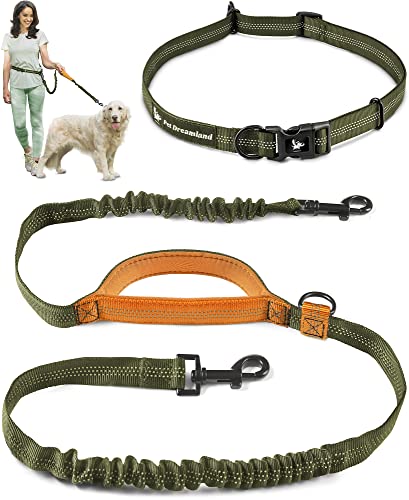 Pet Dreamland Hands-Free Leash (Large)