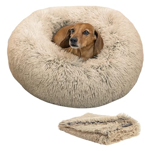 Best Friends by Sheri Bundle Set