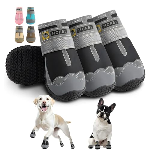 Best Dog Boots for Muddy, Dewy Walks (2026)