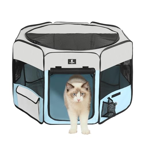 X-ZONE PET 59" (Blue)