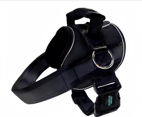 Joyride Harness for Small, Medium, Large Dogs, No-Pull Pet Harness with 3 Side Rings for Leash Placement, Adjustable Soft-Padded Vest for Training, Walking, Running, No-Choke Easy On-Off Technology