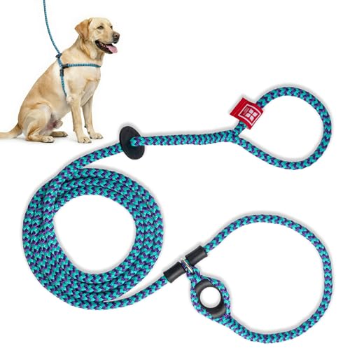 Harness Lead No Pull Dog Harness and Leash Set, Anti Pull Dog Harness, One-Piece Cushioned Rope Safely Prevents Escaping and Pulling *New Insert is Removable (Medium/Large, Purple/Turquoise)
