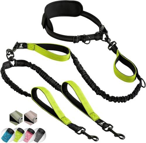 Best Hands-Free Leash & Harness Combos for Trail Runners (2026)