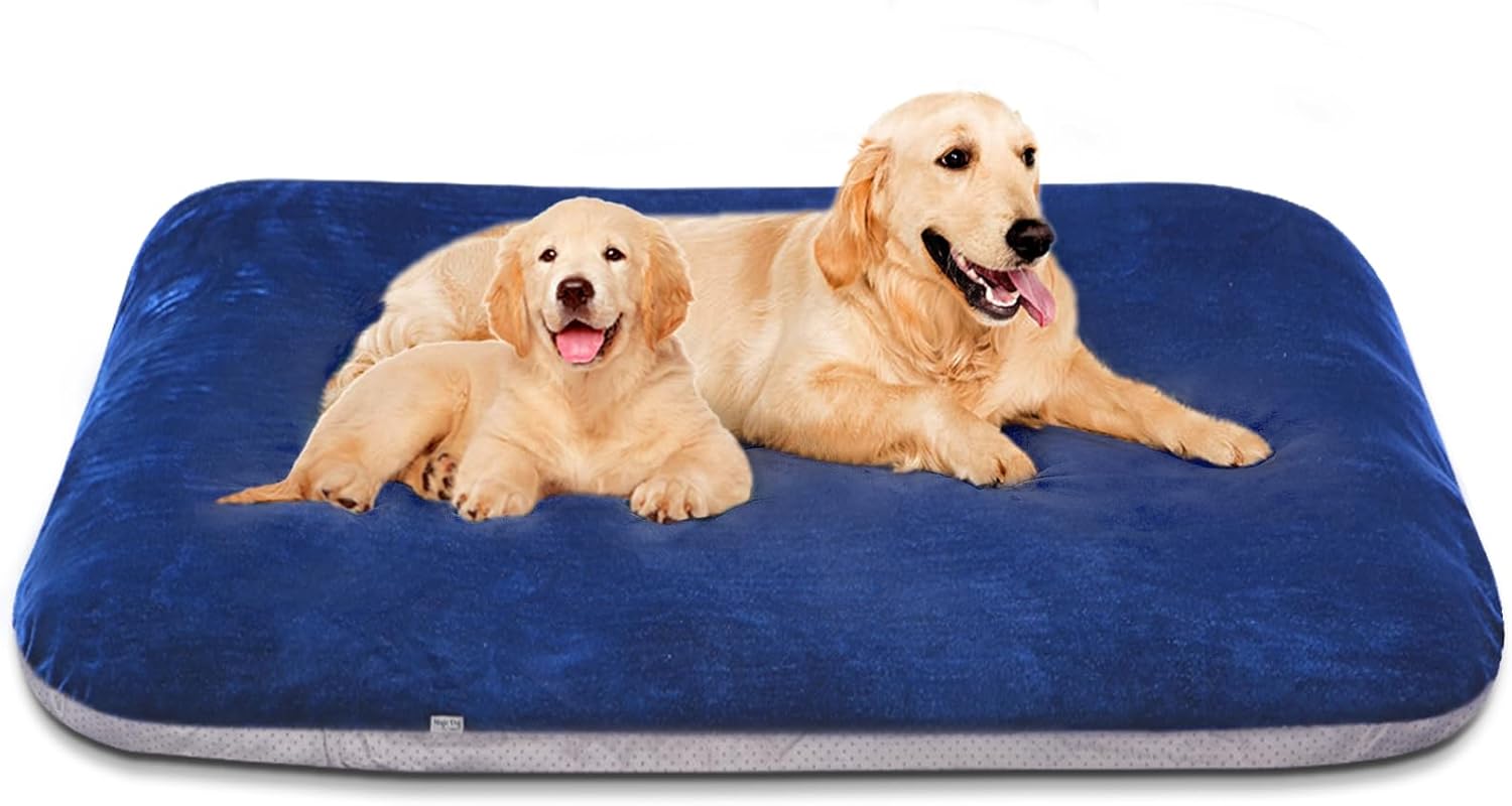 Best Orthopedic Dog Beds for Small Breeds (2026)
