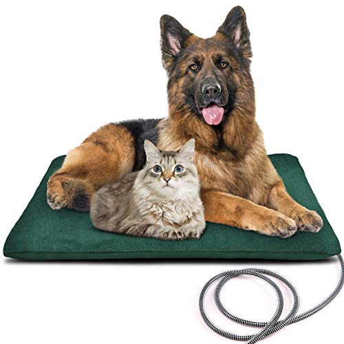 Best Dog Bed Covers & Liners to Keep Outdoor Beds Dry (2026 Guide)